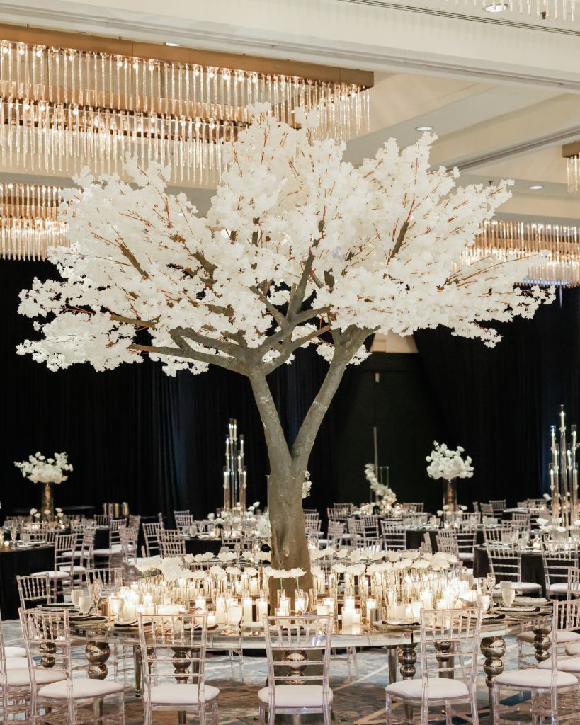 tampa bay wedding planning
