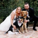 Dogs at a wedding at Tabellas at Delaney Creek