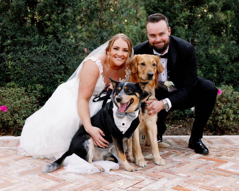Dogs at a wedding at Tabellas at Delaney Creek