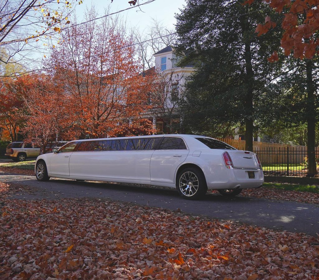 White limousine parked on residential street in autumn