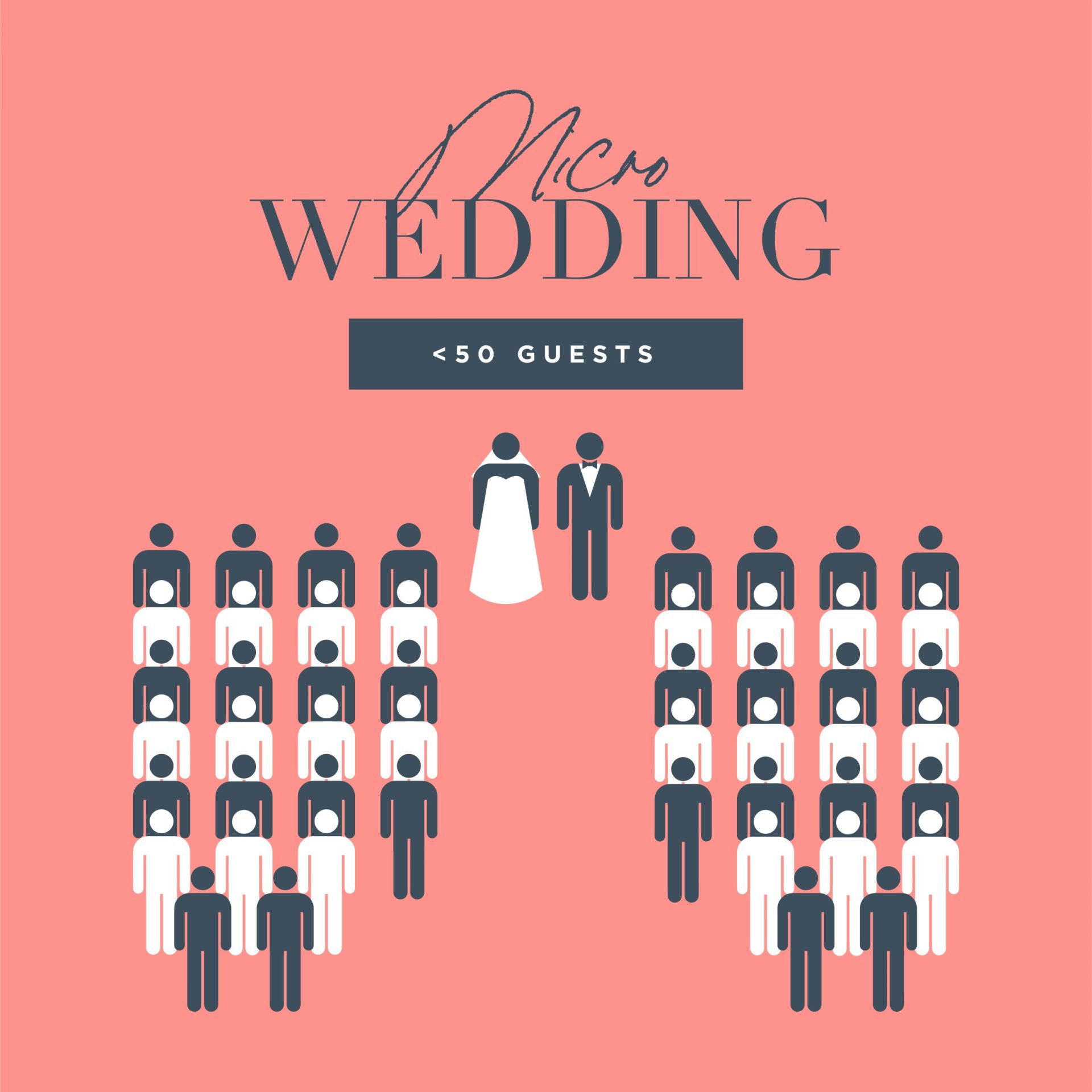micro wedding guest count | wedding size terms