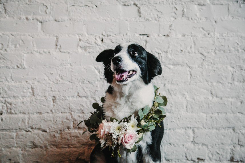 Countdown to the Brides of Austin Cover - Four Darling Details