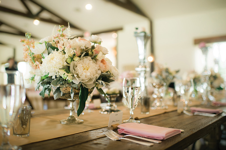 the-bird-and-the-big-bear-photography-1