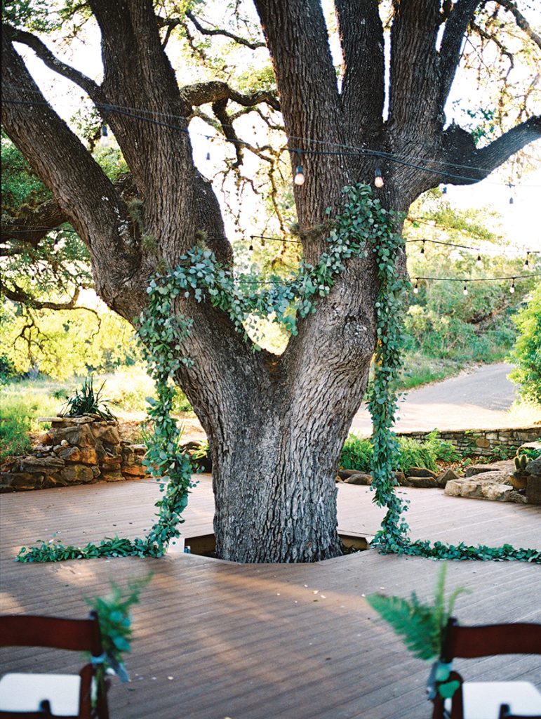 clementine_ashleybosnick_greenhouse