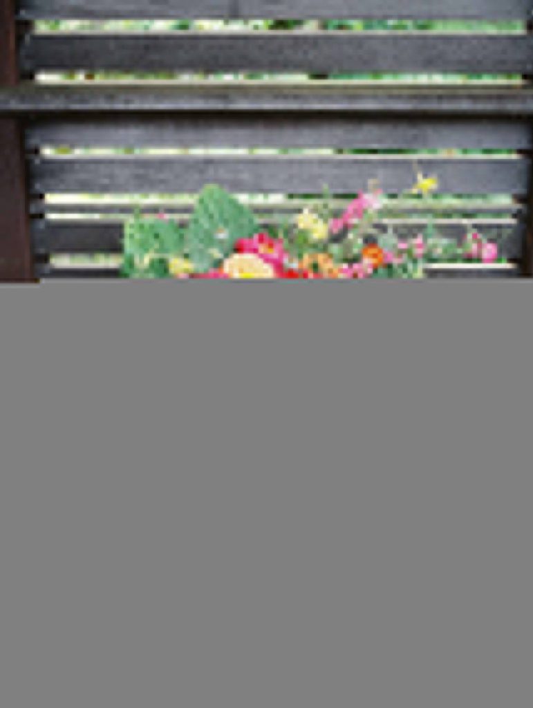 BOA_FW2015_BEAUTYBLOOMS_KRYSTLEAKINPHOTOGRAPHY038