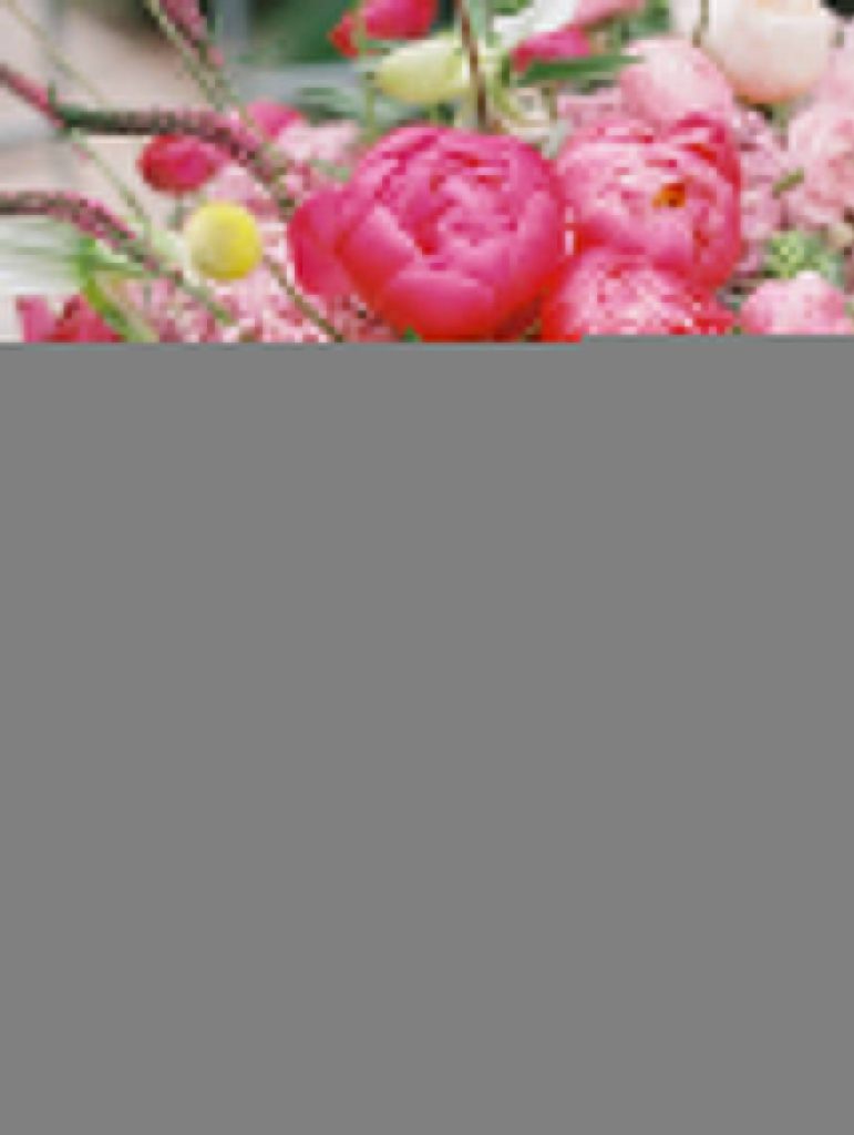 BOA_FW2015_BEAUTYBLOOMS_KRYSTLEAKINPHOTOGRAPHY031