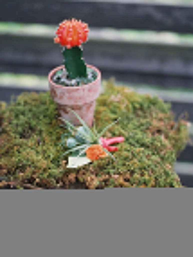 BOA_FW2015_BEAUTYBLOOMS_KRYSTLEAKINPHOTOGRAPHY037