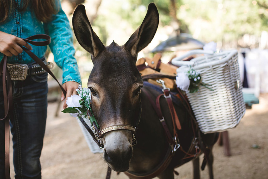 BigFake-Wedding_CreatrixPhotography_016