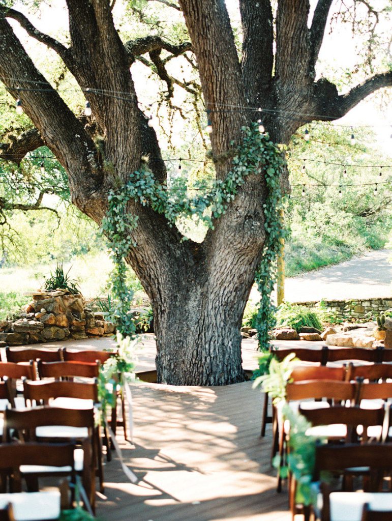 Clementine_AshleyBosnick_GreenhouseatDriftwood