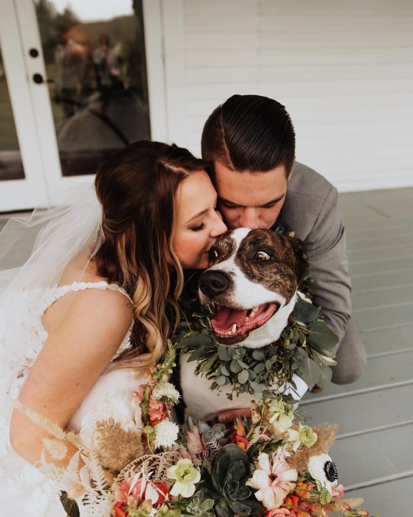 Bride and groom kiss their brindle and white dog wearing floral garland at Colorado wedding