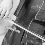 Close-up of hands playing cello strings with bow in black and white