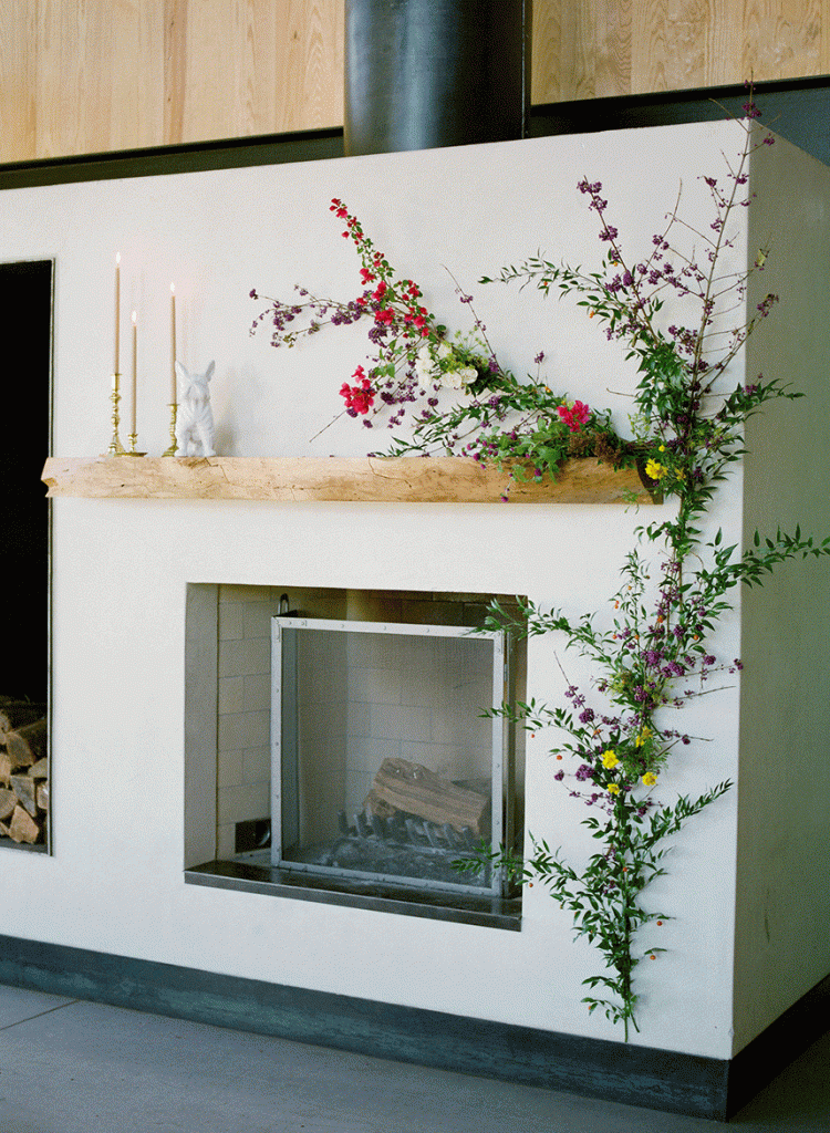 birddog-krystleakin-margotblair