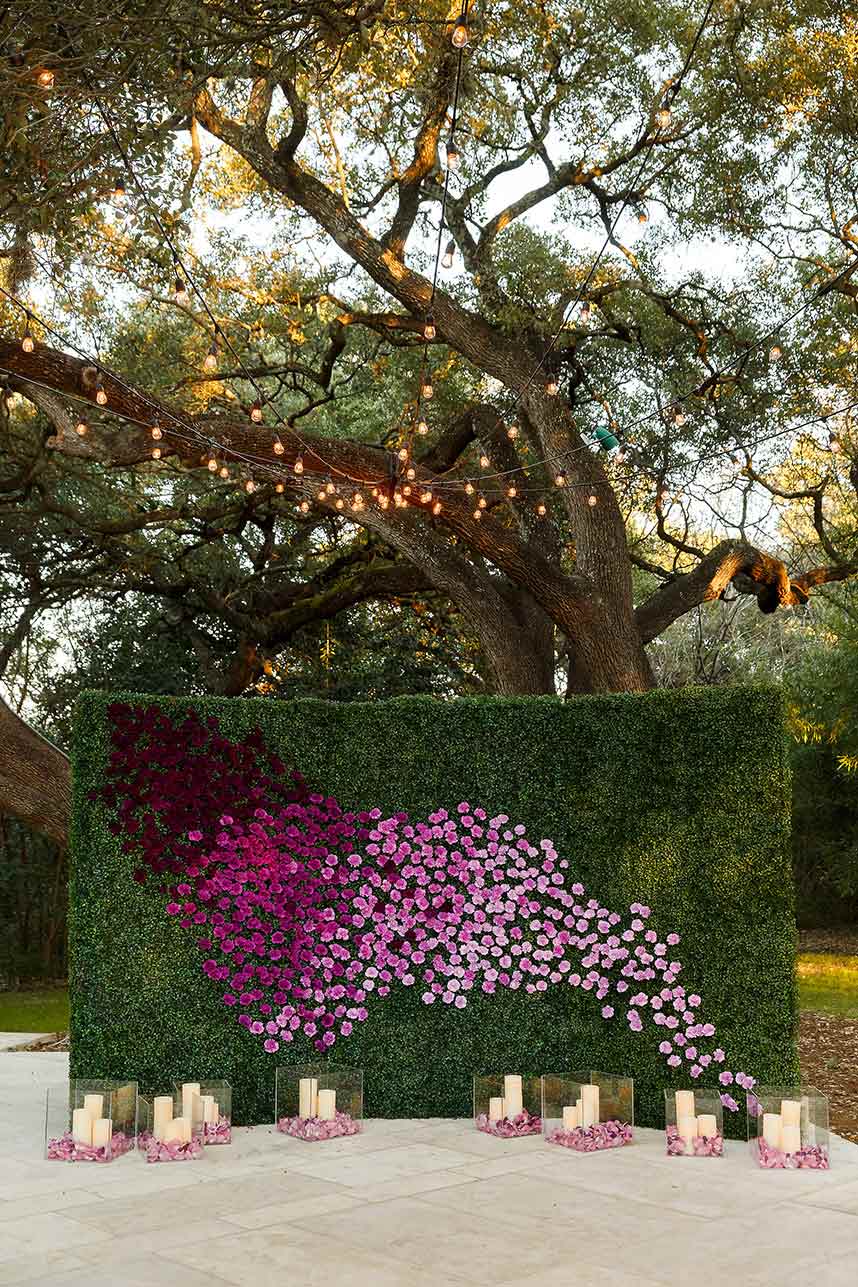 jenny-demarco-photography-westbank-flower-market