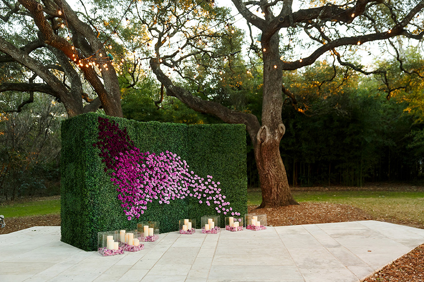 boa_tylercody_jennydemarco_blog_01