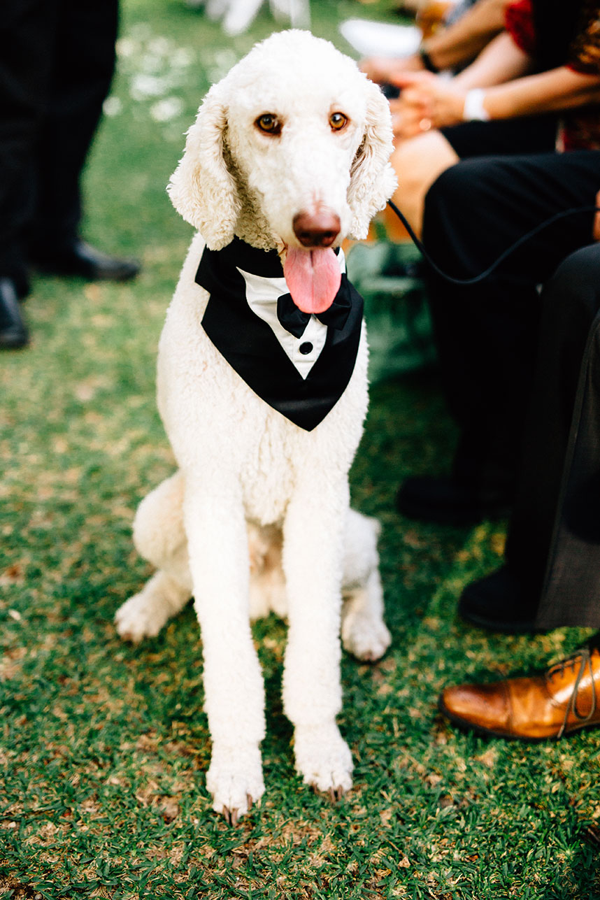 GloridaGoodePhotography_16