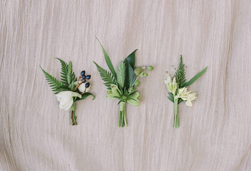 Clementine_36th_AshleyBos