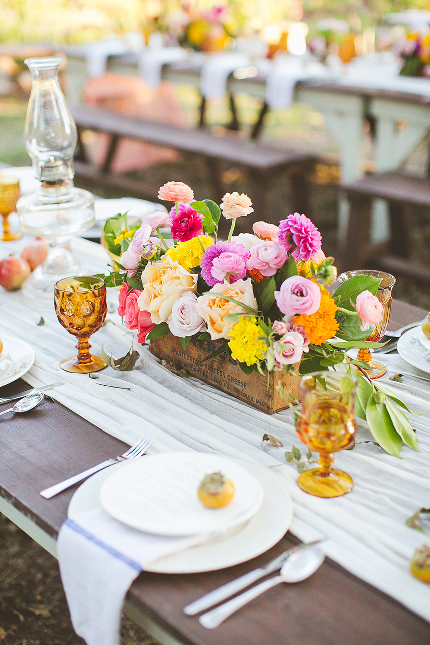 Nichols_Loot_BirdDog