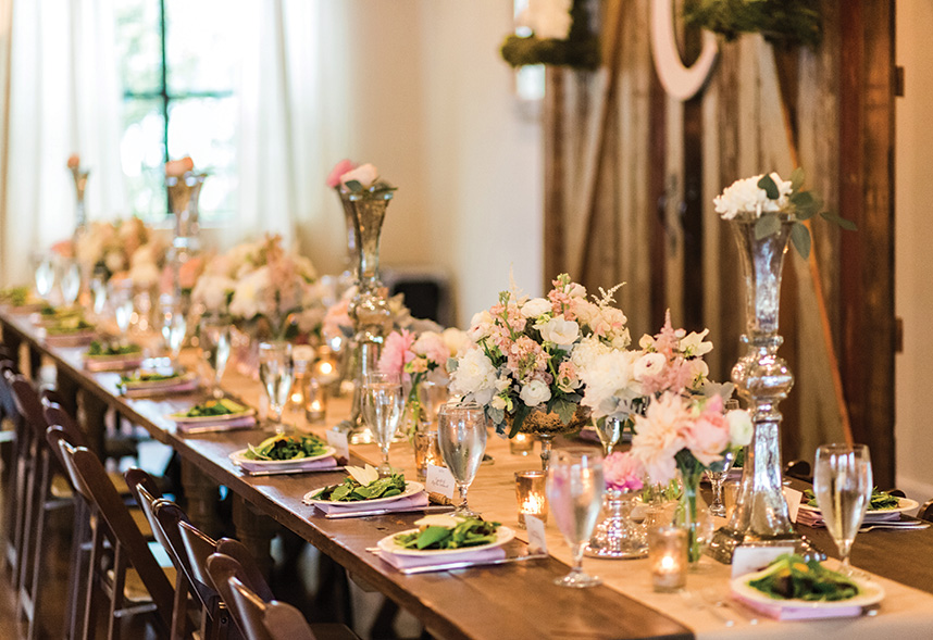 the-bird-and-the-big-bear-photography