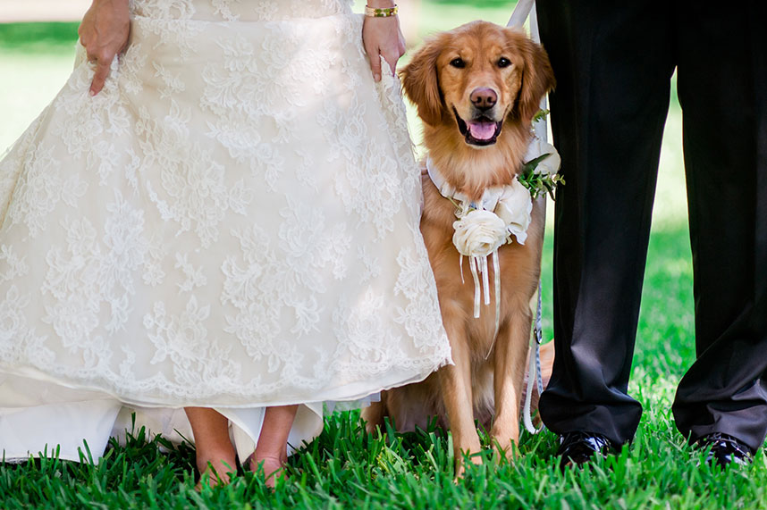 JenLindberg_Westbank