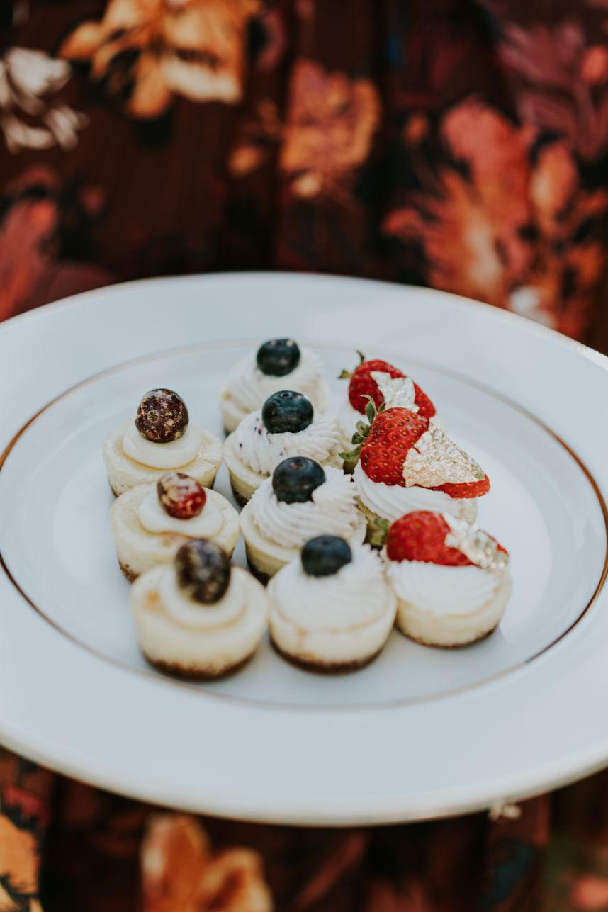 dandelion cheesecake bites