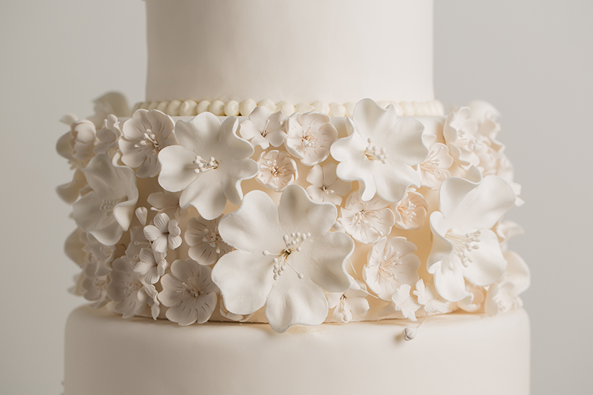 BONTxCake_0094