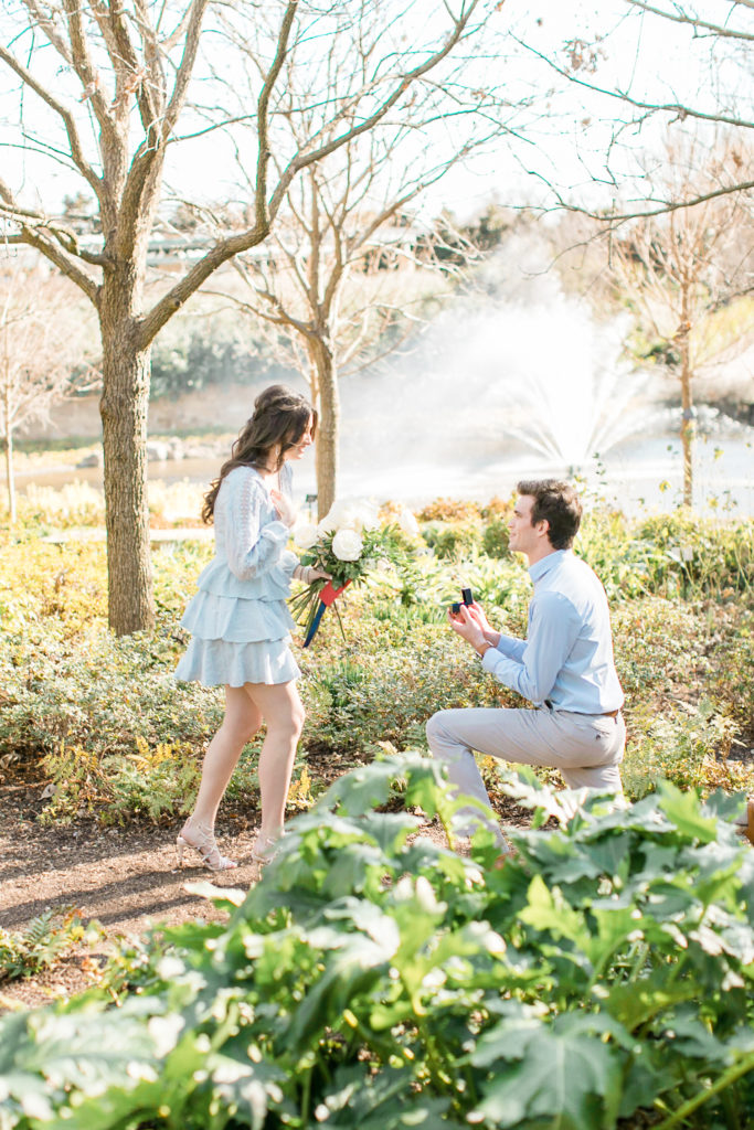 dallas arboretum proposal