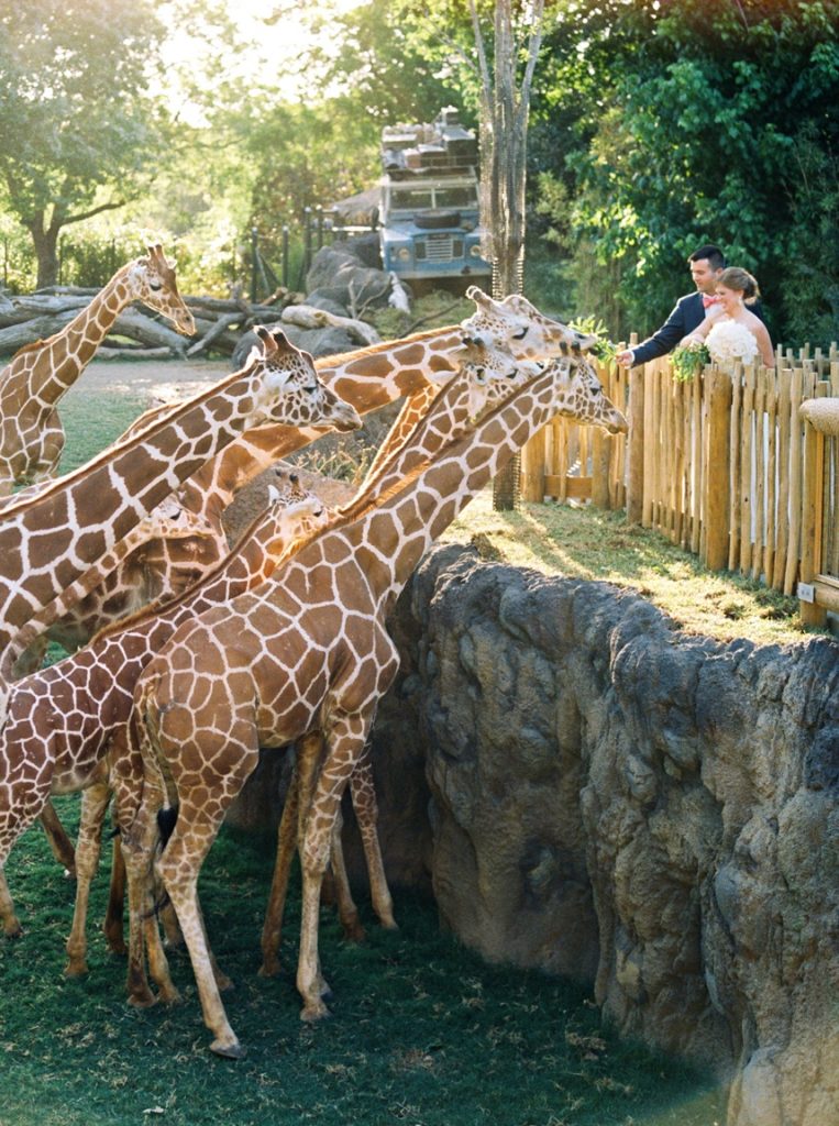fort worth zoo wedding venue