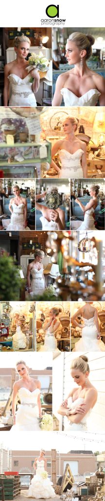 Aaron Snow Bridal Portraits