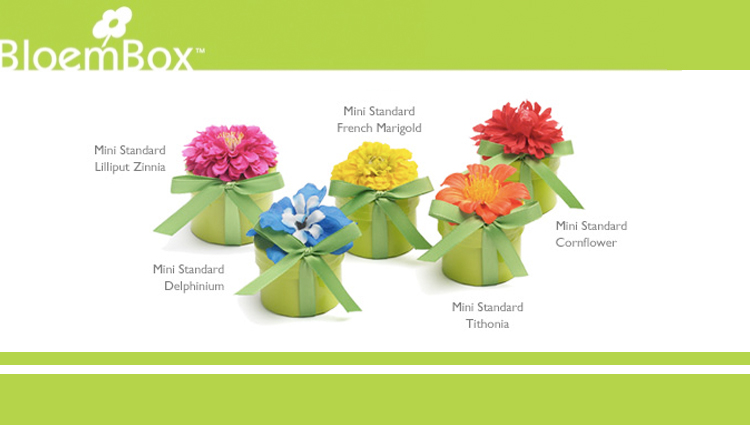 Oklahoma wedding favor - BloemBox