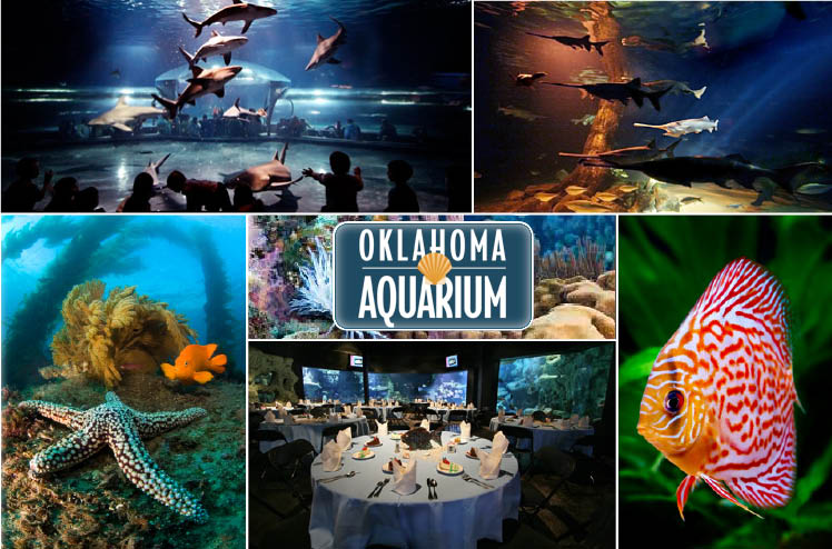 Oklahoma Aquarium in Jenks, Oklahoma, available for Oklahoma weddings and receptions
