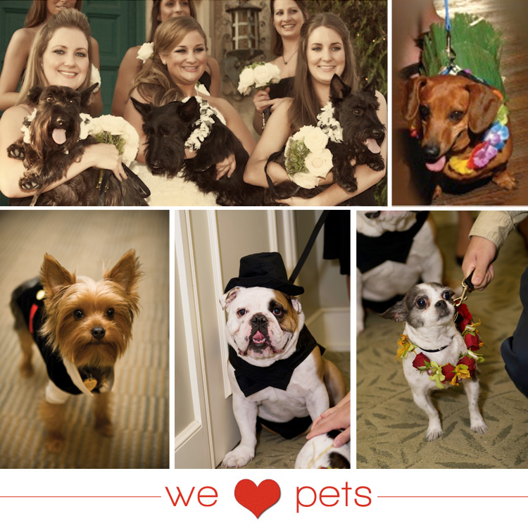 Find Oklahoma wedding inspiration in the Oklahoma City and Tulsa areas.