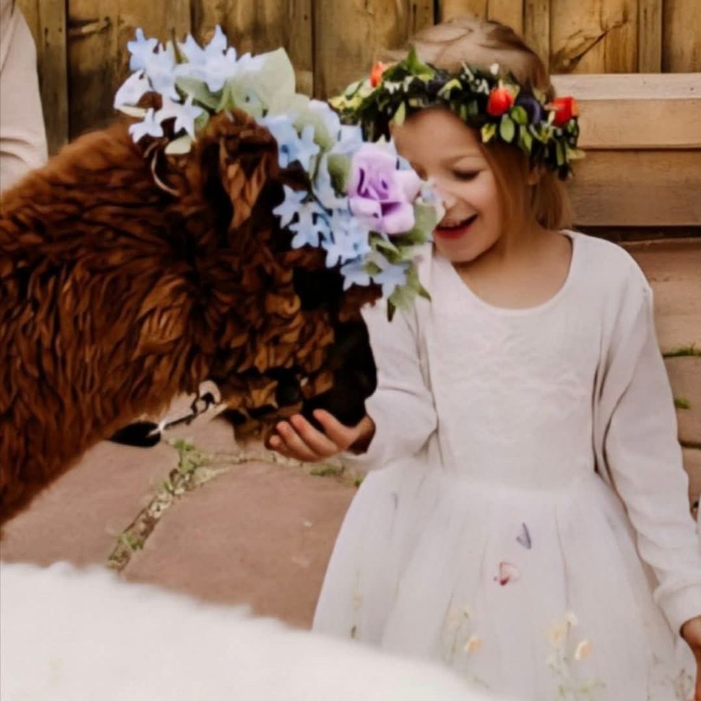 Young flower girl in white dress and floral crown laughing while petting alpaca wearing decorative flower headpiece