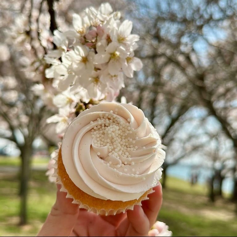 Cupcake with swirled buttercream frosting and white pearl sprinkles held beneath spring cherry blossoms