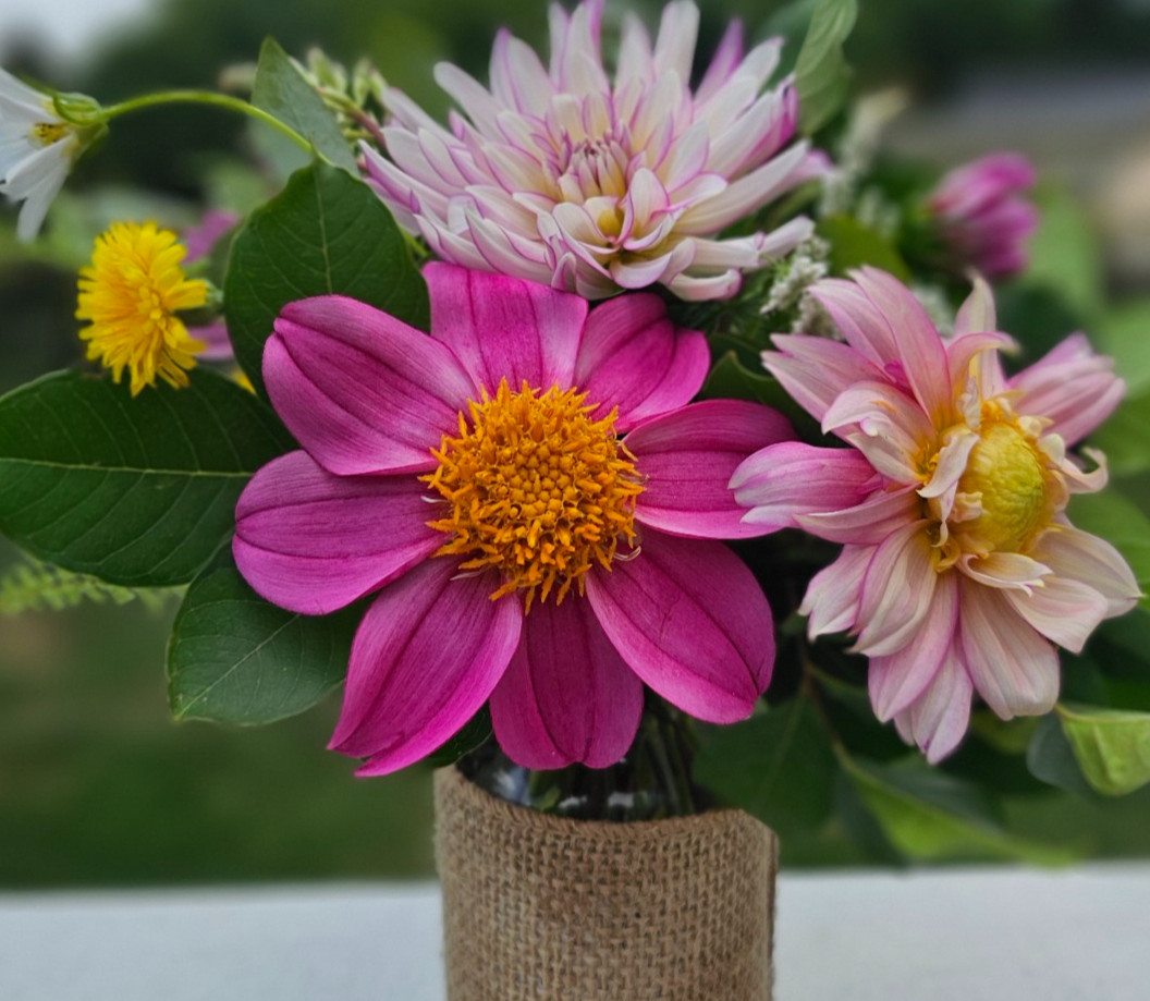 Beautiful dahlia display in woven vase for honeymoon and destination wedding planning