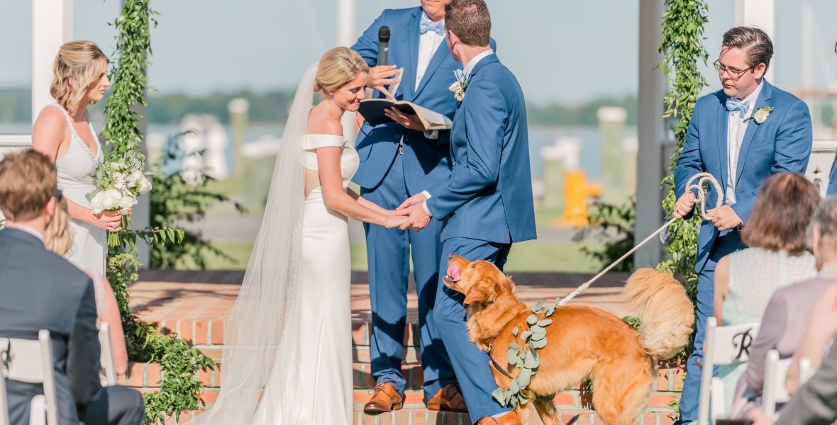 Outdoor wedding ceremony with bride and groom holding hands while two golden retrievers wearing eucalyptus garlands stand between them