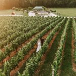 Couple walking hand-in-hand through lush vineyard rows at sunset with estate buildings visible