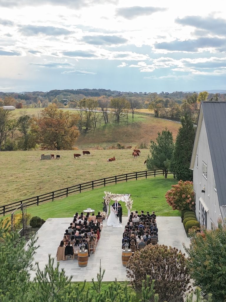 Aerial view of outdoor wedding ceremony at farm venue with guests seated, white barn, and cattle in rolling pastures beyond