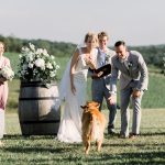Bride and groom walking down aisle with golden retriever as guests watch at outdoor ceremony with wine barrel floral arrangements