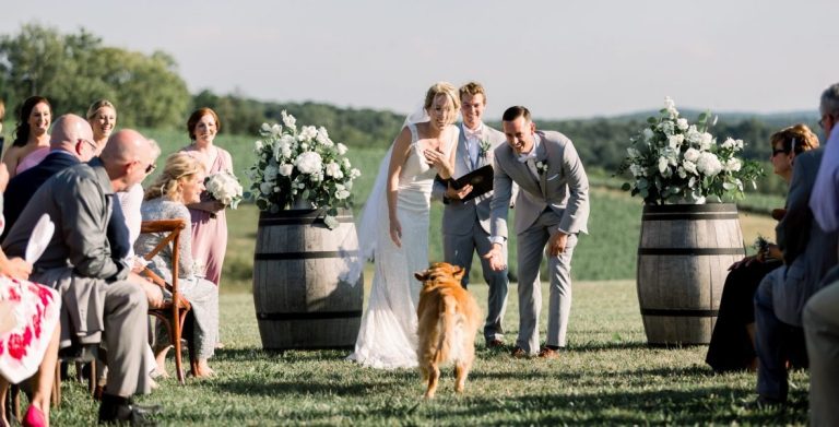 Bride and groom walking down aisle with golden retriever as guests watch at outdoor ceremony with wine barrel floral arrangements
