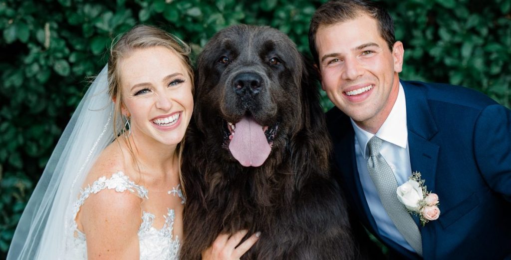 Bride and groom posing with their large black dog at their wedding