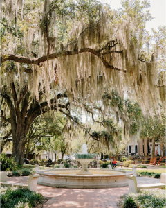 Historic Savannah park fountain beneath live oak trees draped with Spanish moss