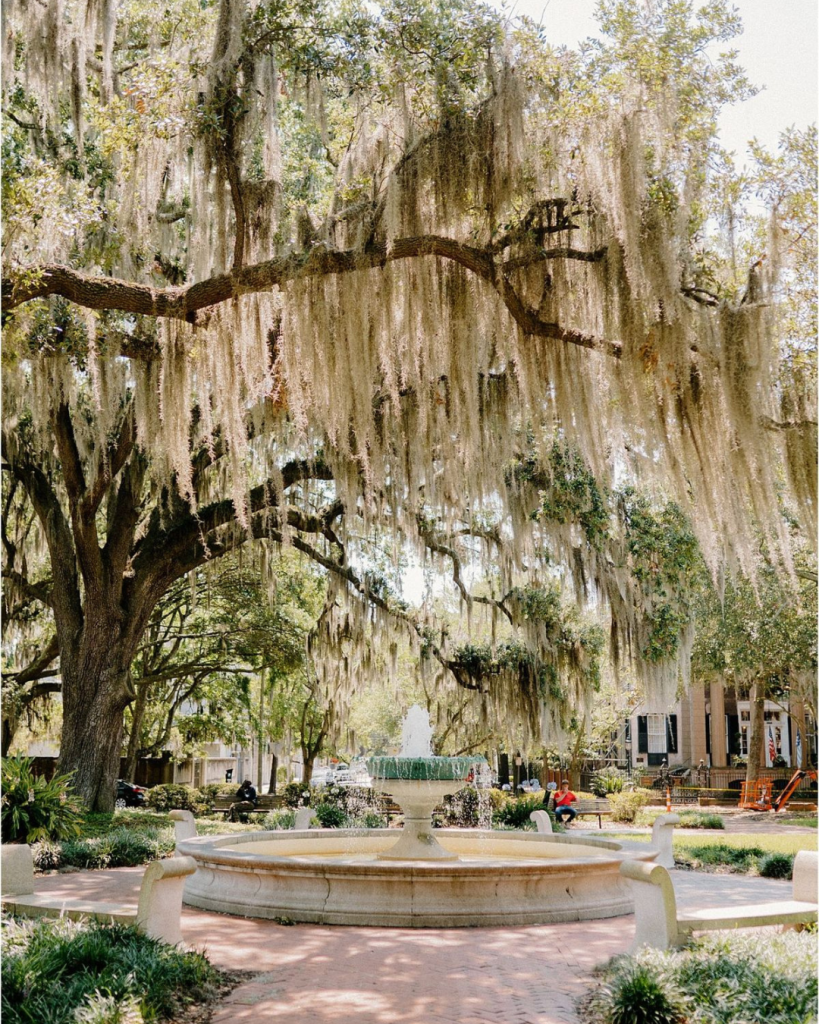 Historic Savannah park fountain beneath live oak trees draped with Spanish moss