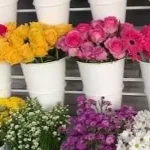 Bloom bar display with fresh flowers in white buckets arranged in tiers, featuring roses, gerberas, and mums