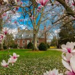 english garden wedding venue in northern virginia