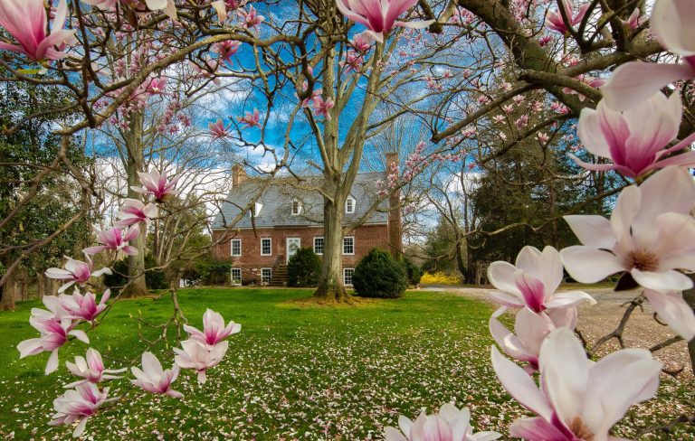 english garden wedding venue in northern virginia