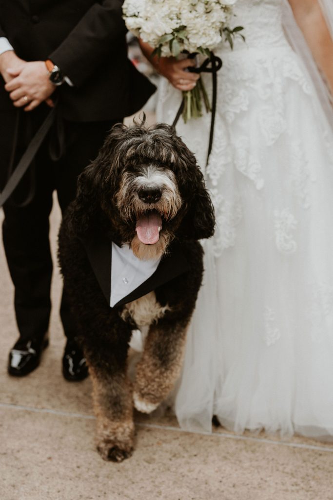 2919_Dearly-Beloved-Weddings_19-scaled.jpg
