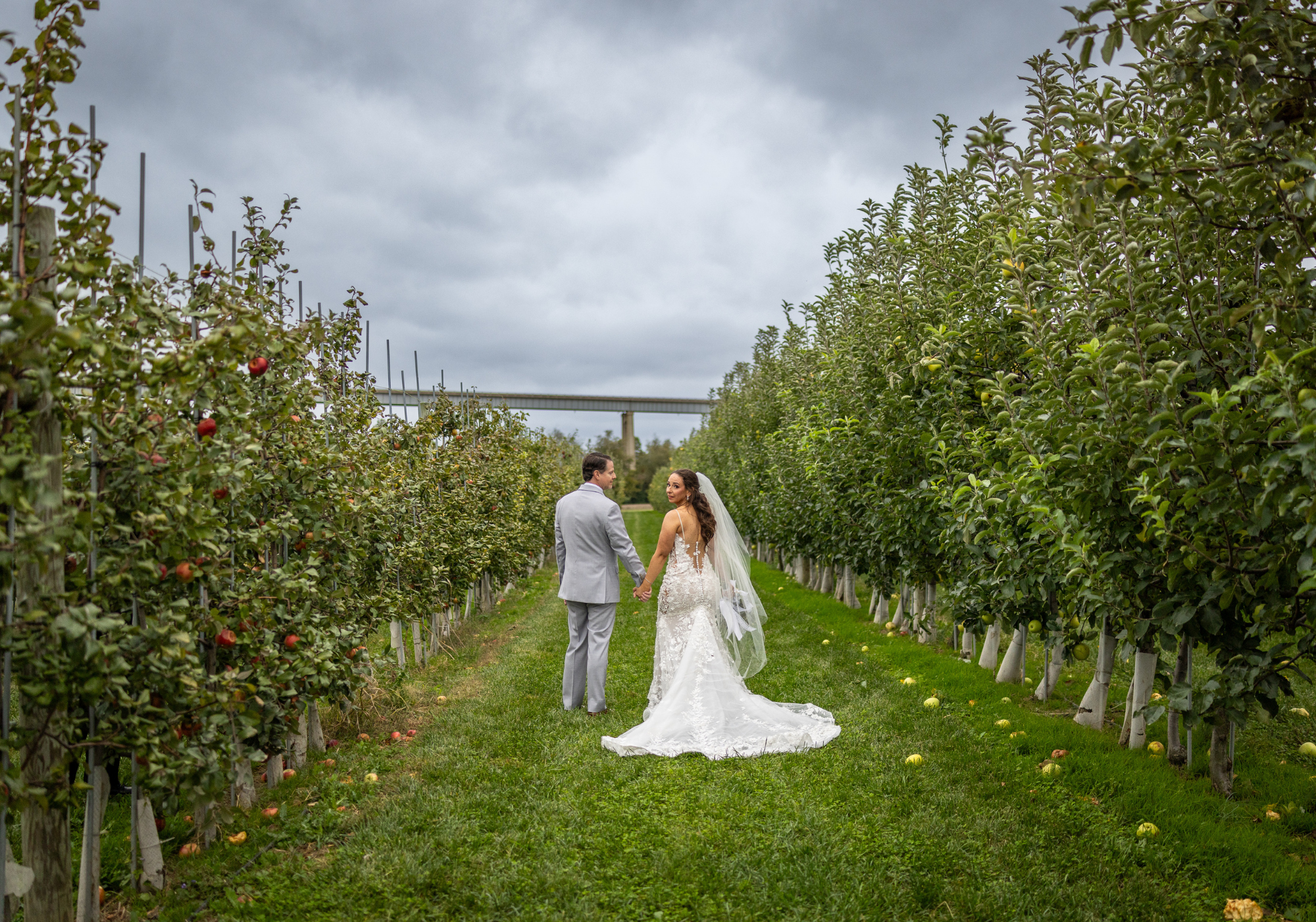 Bride and groom walking hand in hand through orchard rows during a fall wedding portrait session in Middletown, Delaware.