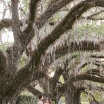 Robb McCormick Photography | Columbus Wedding Photographer