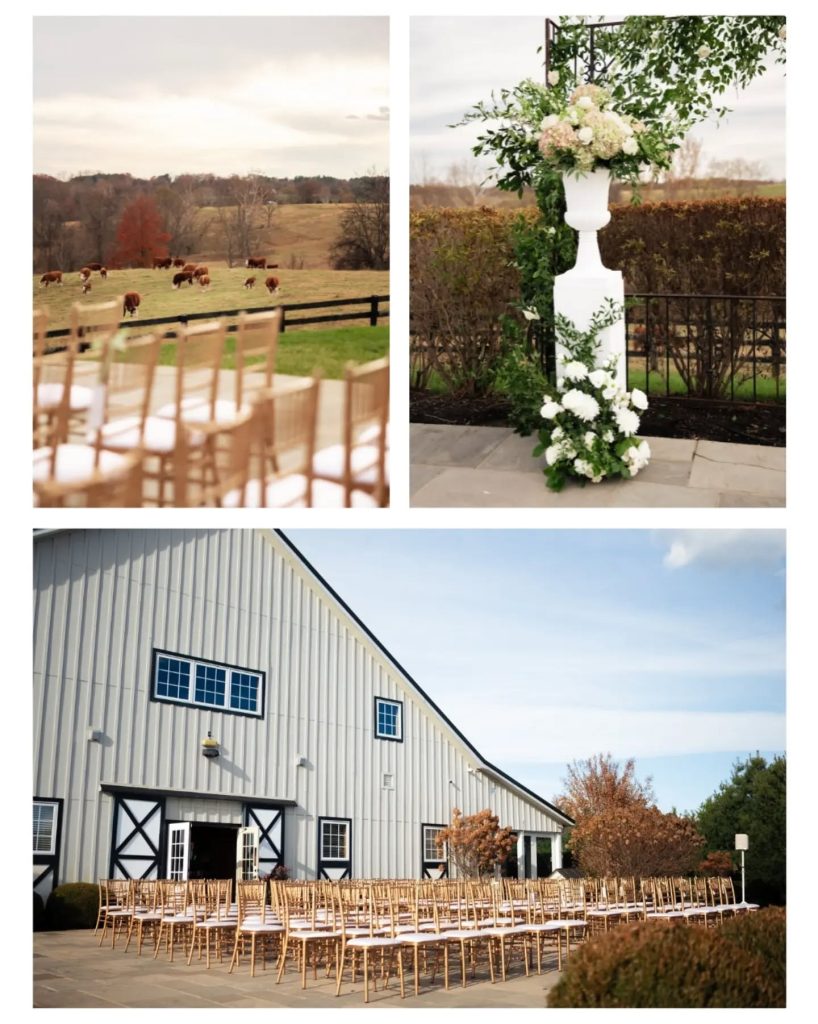 outdoor ceremony space with cows in pasture in the background in northern virginia with large flower arch at wedding altar