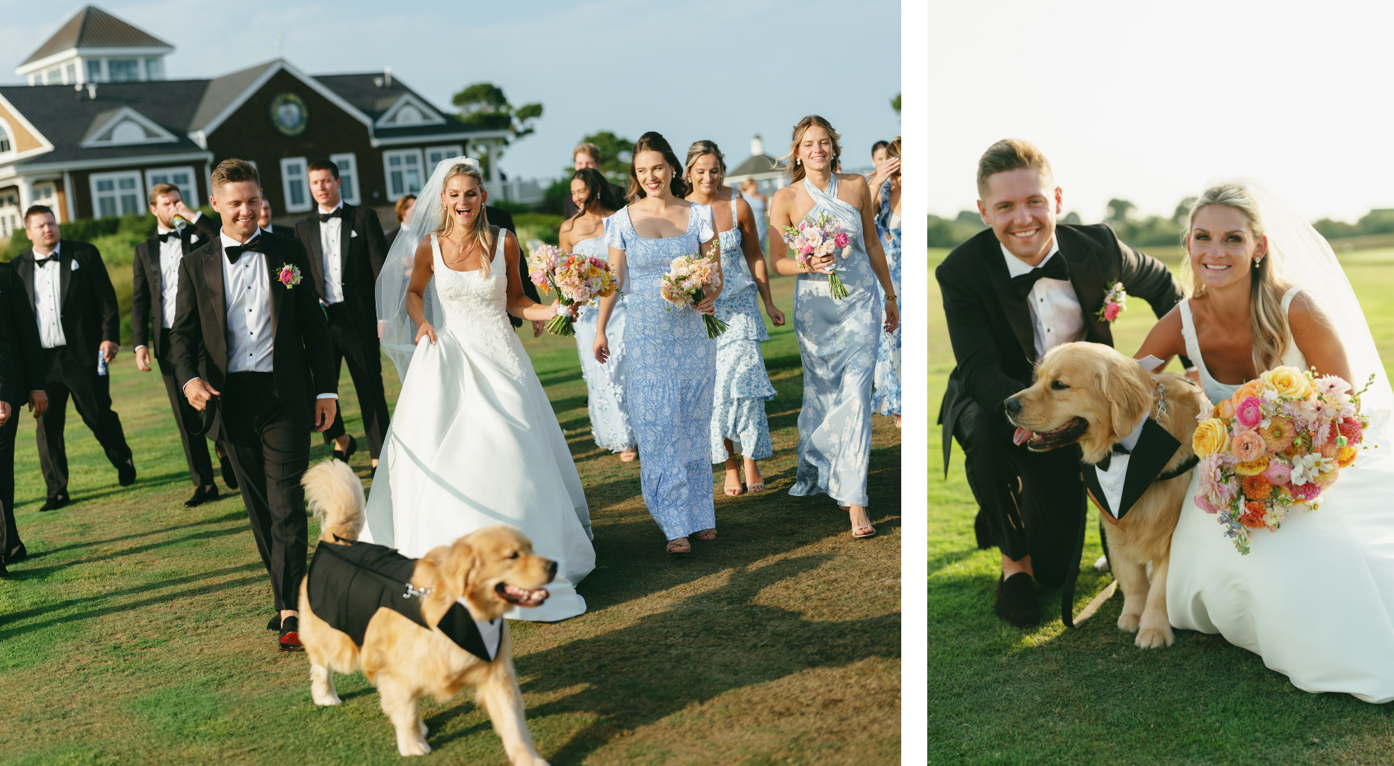 Bride, groom, wedding party, and their tuxedo-clad golden retriever celebrating together, followed by portraits across the waterfront grounds of their Maryland Eastern Shore wedding.